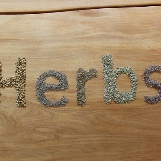 Heirloom Herb Seeds