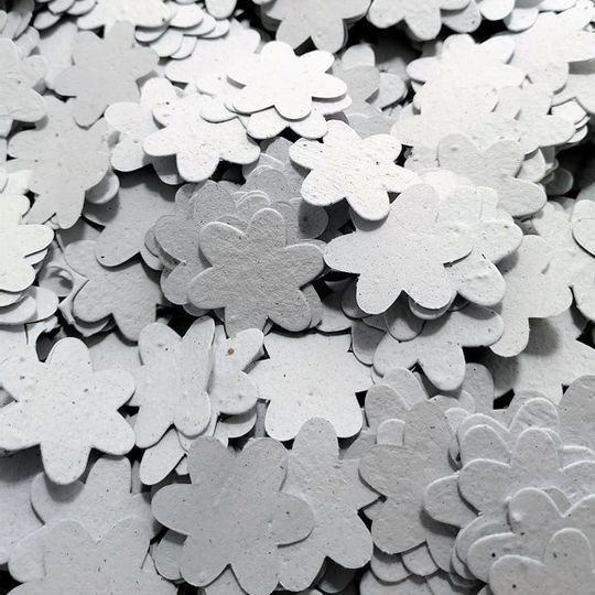 Growing Confetti | Flower Shaped