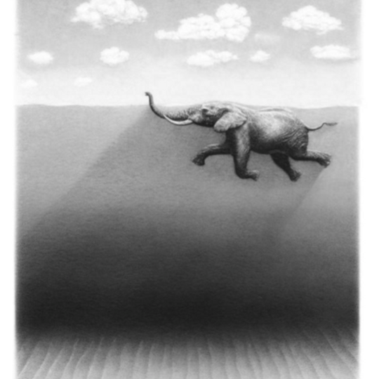 Elephant "Crossing" Art Print