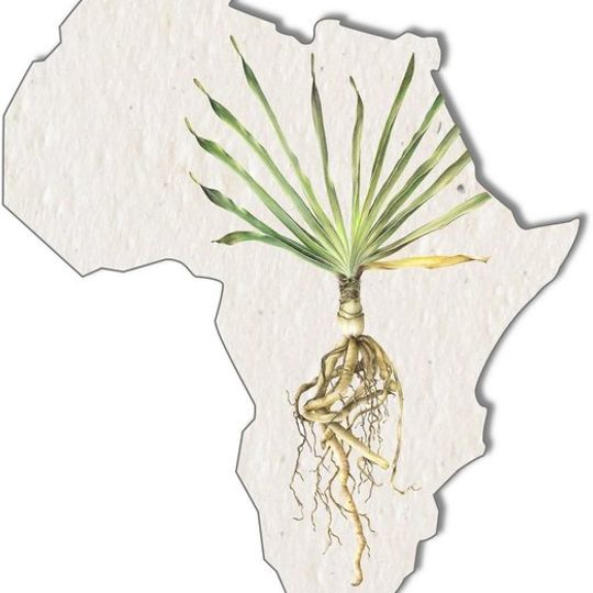 Set of 3 gift tags | Botanical Africa Shape