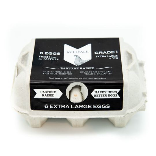 Pasture Raised Eggs XL (6`s)